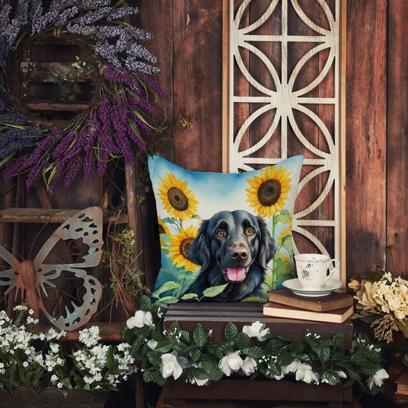 Coussin décoratif intérieur / extérieur Autre / Sans motif, H 14 po x l 14 po