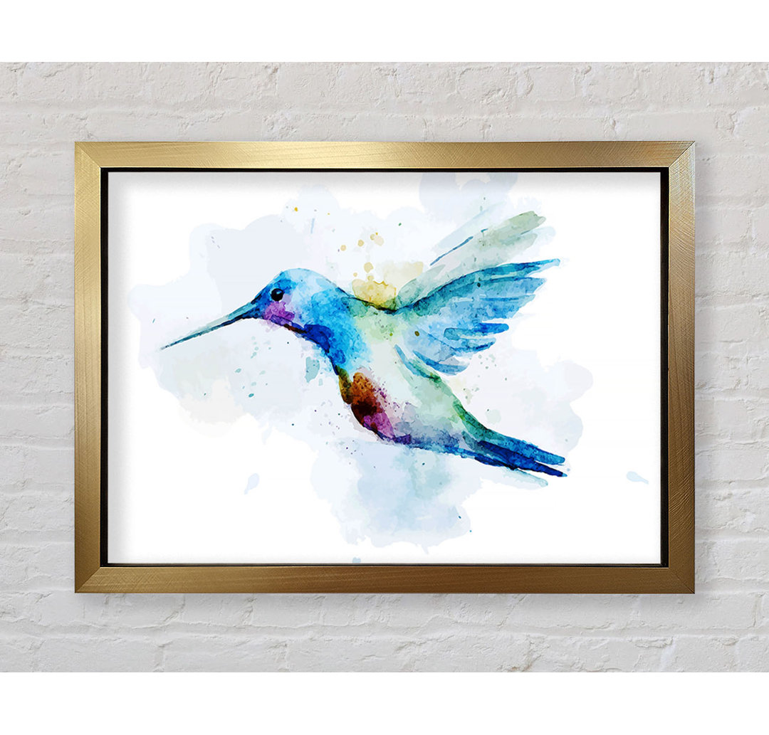 Hummingbird Splash - Einzelner Bilderrahmen Kunstdrucke