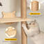 Scratching Post
