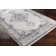 Gittens Oriental Indoor Rug