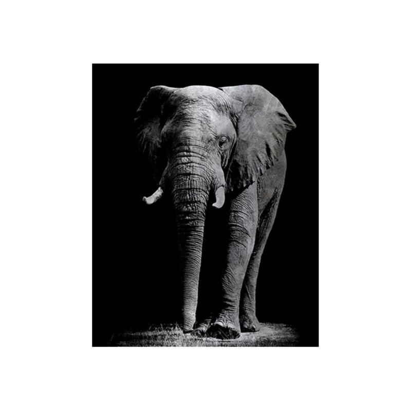 Safari argenté par Austin Beiv - photographie, Extérieur, H 30 po x l 24 po x P 1,5 po