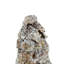 Pinecone scintillant-1167824913