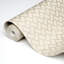 Papier peint Schumacher x Neisha Crosland Parterre-88482280