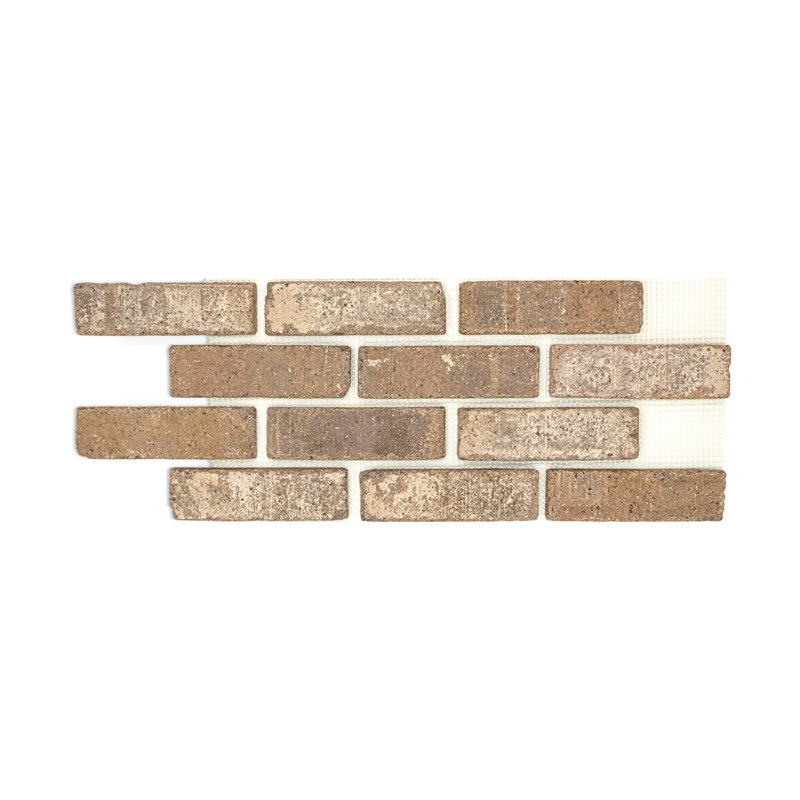 Mojave Brickwebb, Brickwebb