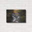 «Autumn On The Appalachian Trail» par Rick Berk, art mural en métal-721137803