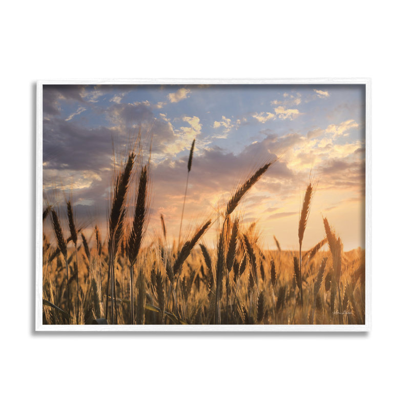 Photographie d'un cadre photo sur un panneau de fibres à densité moyenne, Giclée encadrée blanc bord de mer