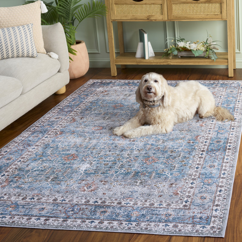 Arizona 322 Performance Machine Washable Oriental Rug, Rectangle 5' x 8'