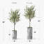 Artificial Tree In Modern Planter, Fake Olive Silk Tree Home Decoration (Plant Pot Plus Tree)-407143820-424482373