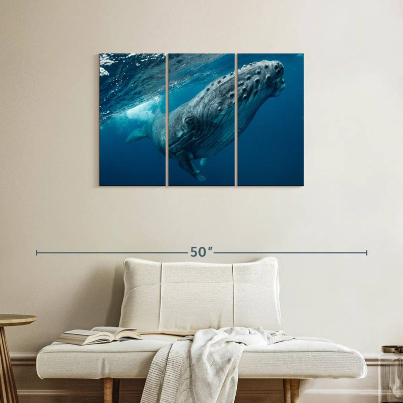 Brampt Whale Near Surface, 24" H x 38" W