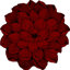 Tapis rouge Vesta-1335240176