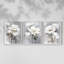 Étude florale série CXLV III -Set de 3 estampes giclées encadrées -Prêt à-777083190-777083188