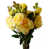 Yellow selected