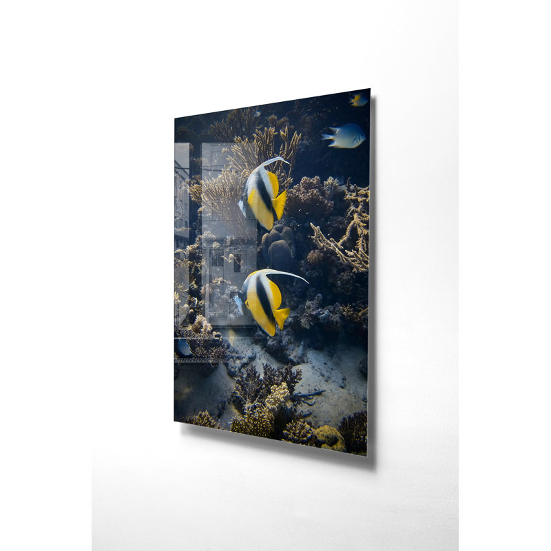 Verre 2, H 19,7 po x l 27,6 po x P 1 po