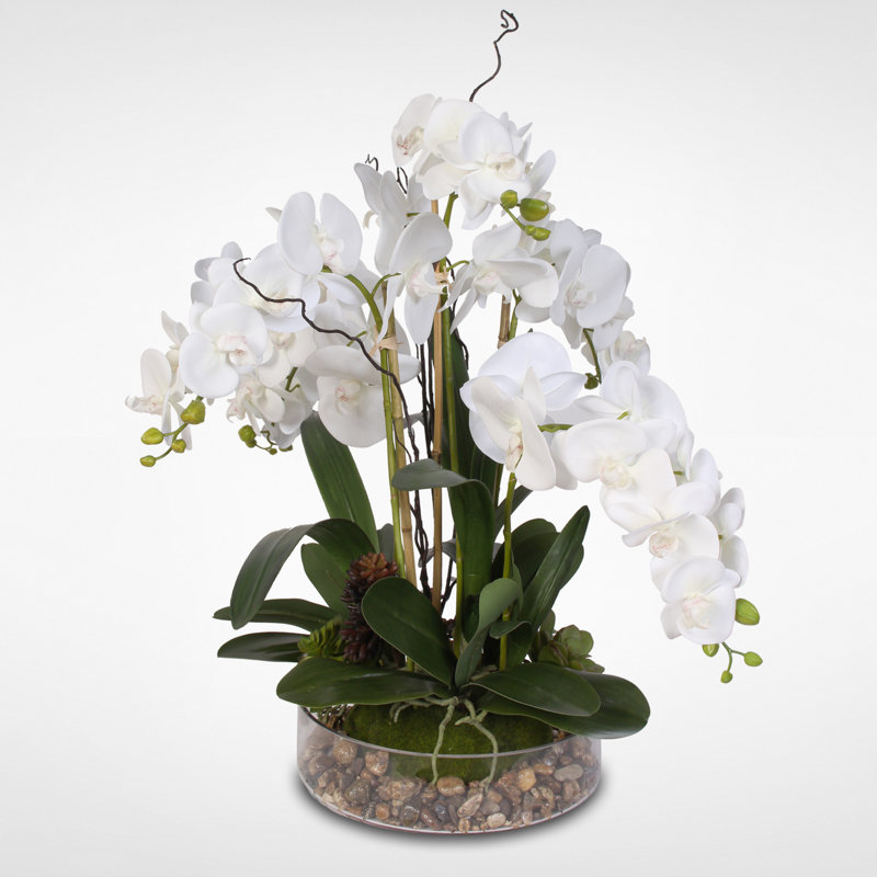 Real Touch Phalaenopsis Orchid Floral Arrangement in Pot