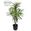 Arbre Dracaena artificiel Keil en pot-548986198