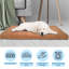 Lit orthopédique pour chien PETMAker - 36 x 27 po pour chien moyen, argile-10158797-10158800