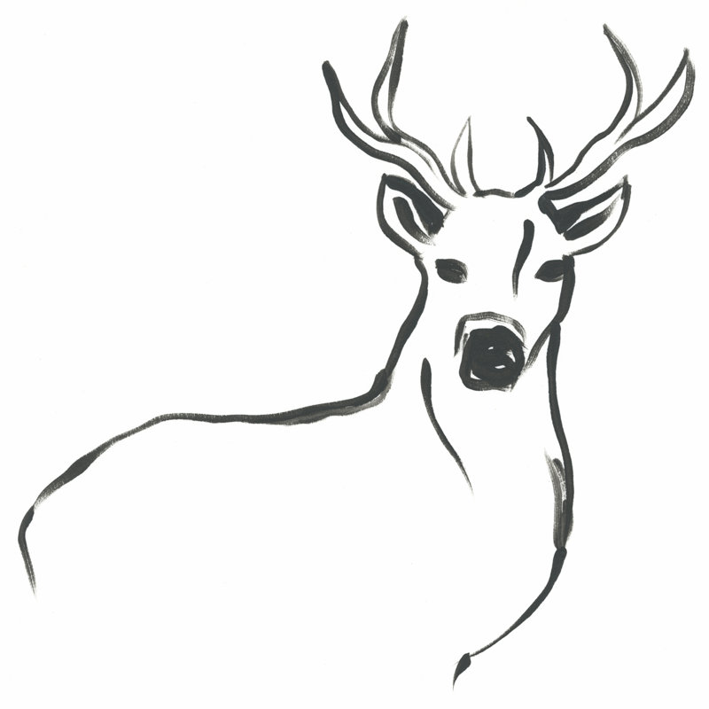 Minimal Deer II, H 12 po x l 12 po
