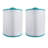 Hurricane 2 Pack Replacement Spa Filter for Pleatco PCS50N and Unicel C-8450
