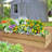 Raised Garden Box-1341954401