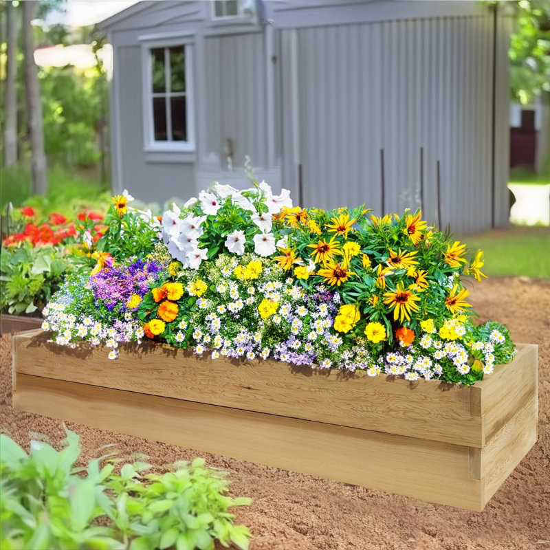 Chrystiana 6-ft Natural Cedar Raised Garden Box