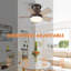 Tavontae 24'' Ceiling Fan with LED Lights-313078641
