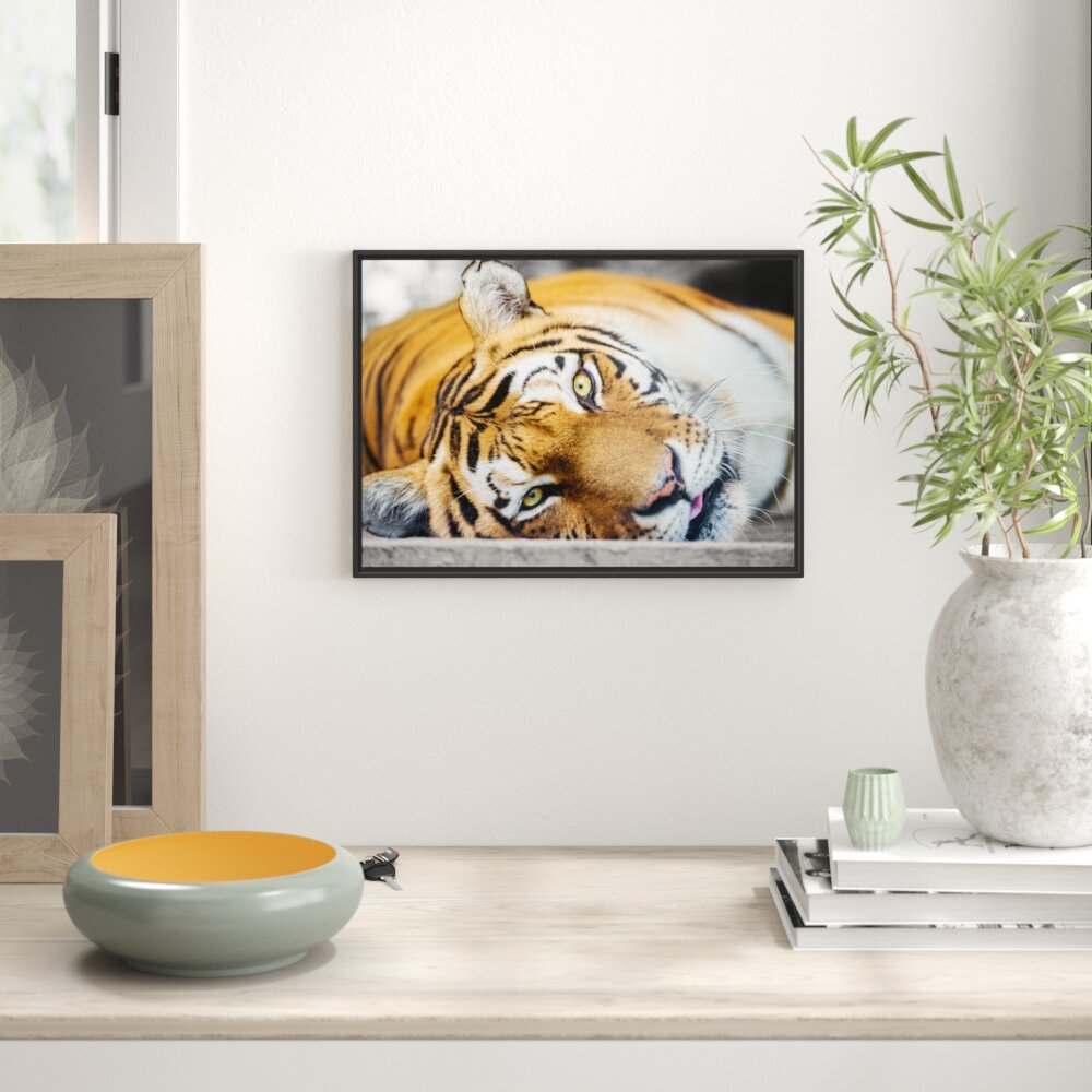 Gerahmtes Wandbild müder Tiger