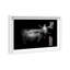 «A Cow» par Oliver Gal - impression d'art graphique-62523319-62523318
