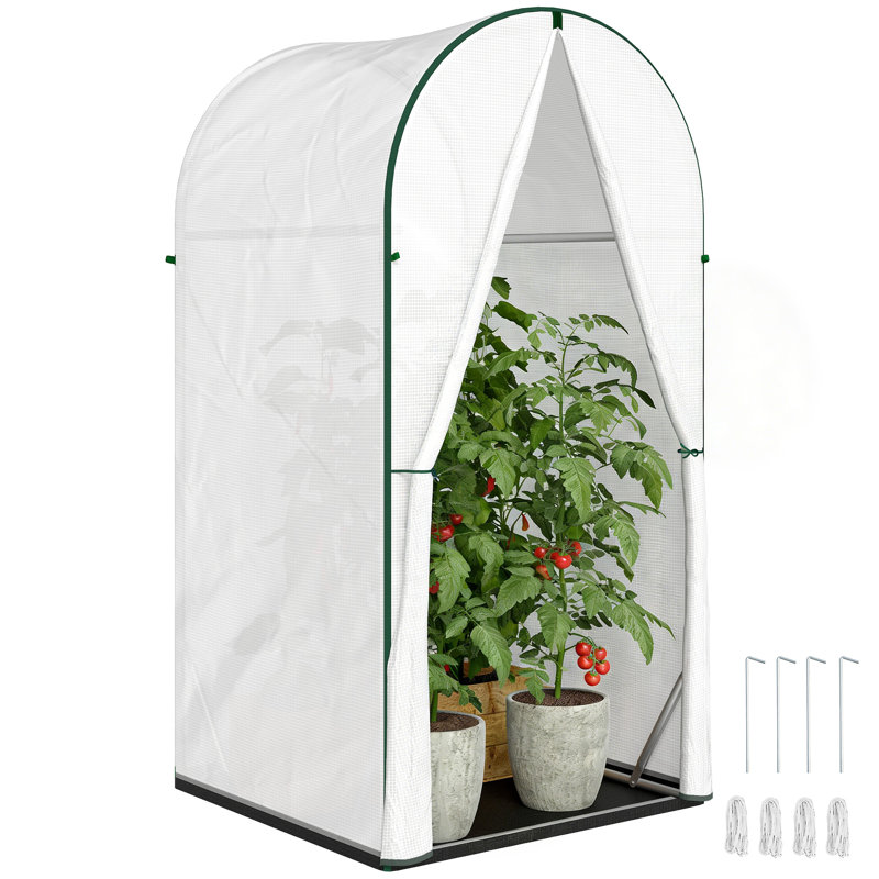 Tunnel Green House