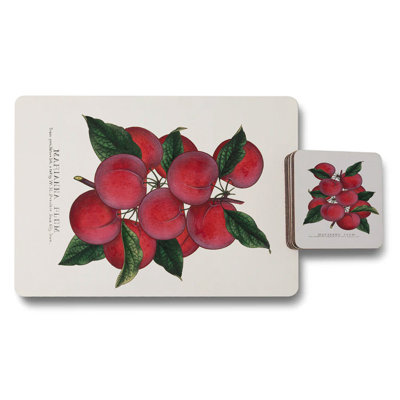 Botanical Fruit Print Placemat And Coaster Set Of 12 With Wood Base Exclusive Collection