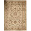 Oriental Area Rug