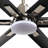 Angjelina 72'' Ceiling Fan with LED Lights