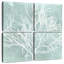Algue Brampt sur turquoise II-109096817