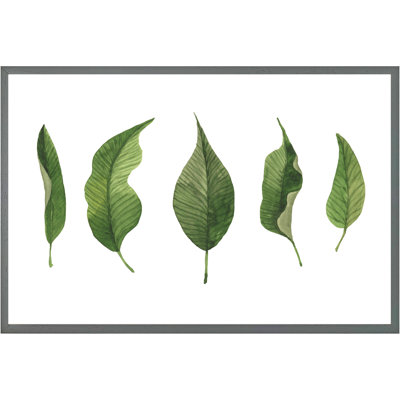 Perdido Single Picture Frame Print