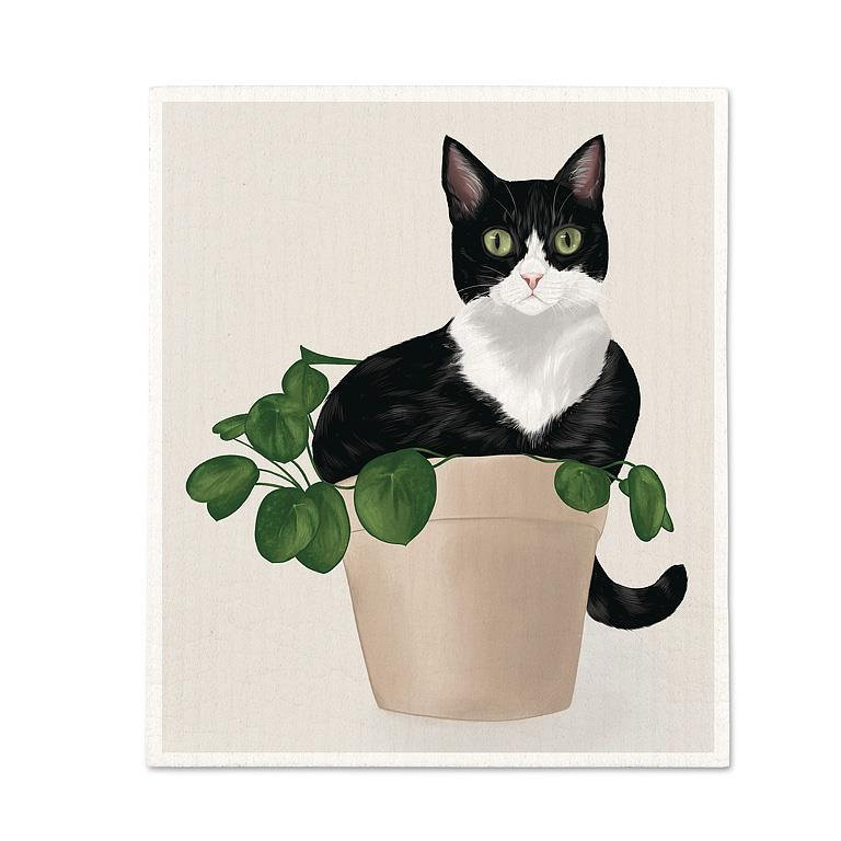 Chat dans une lavette