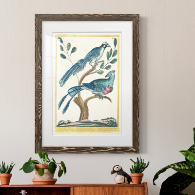 Pastel Birds VI Premium encadré mat - prêt à être accroché