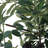 Uttermost Sonora Olive Tree In Planter
