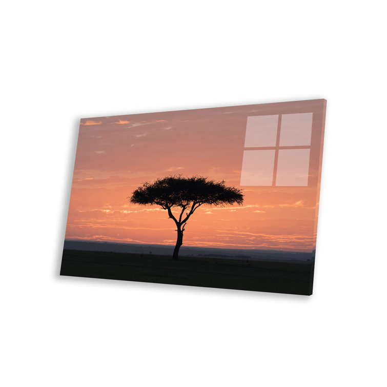 Latitude Run® Kenya, Amboseli National Park. Sunrise backlights ...