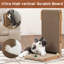 Grattoir pour chat Chariyah