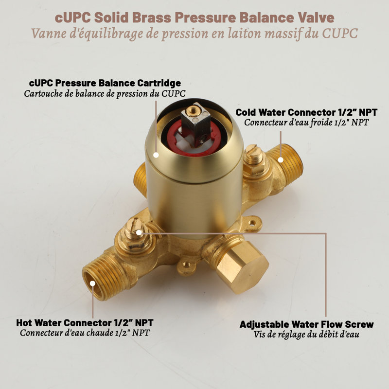 All-In-One Kit with Rough in-Valve, Brushed Gold
