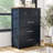 Lonegan 4-Drawer Chest-901232672