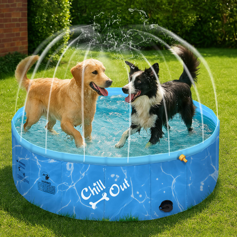 Chill Out Sprinking 2-In-1 Dog Pet Swimming Pool Blue, 11.80" H x 47" L x 47" W 