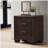 Copper Dark Cocoa 2-Drawer Rectangular Nightstand