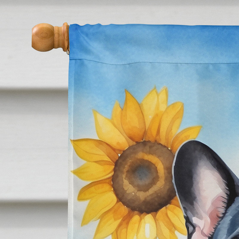 Drapeau de la maison du tournesol Malamute d'Alaska, Bouledogue français noir