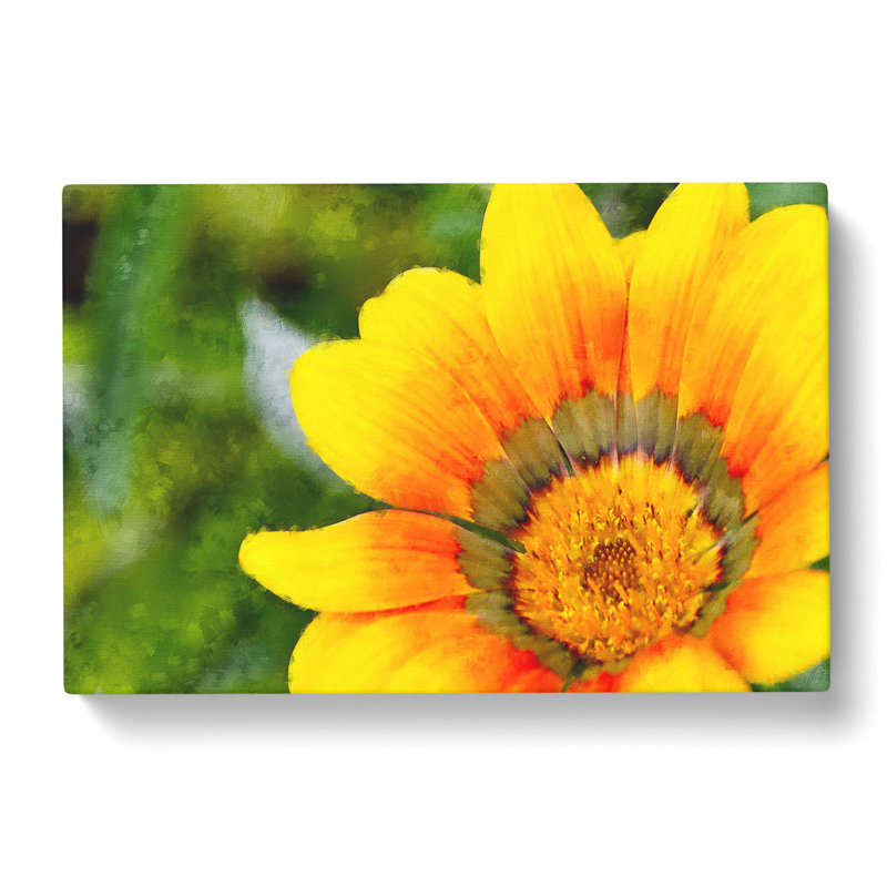 Bright Yellow Flower - Wrapped Canvas, 35cm H x 50cm W x 3cm D