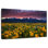 Champ de fleurs sauvages Alvord