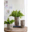 Ensemble de 2 pots à fleurs Fillmore 6,5 x 6,5 x 6,5 po, petit rond