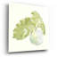«Plant Big Leaf IV» par Chris Paschke-581337143