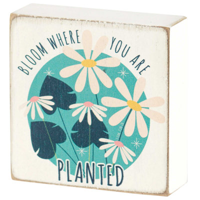 Box Signs & Plaques