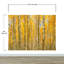 Murale automne-498629898