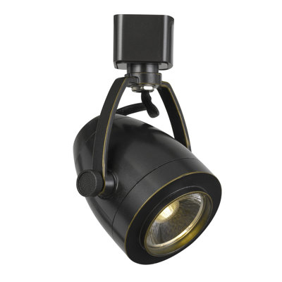 LED Adjustable Track Head